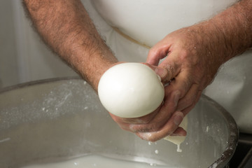 preparation of mozzarella in a dairy