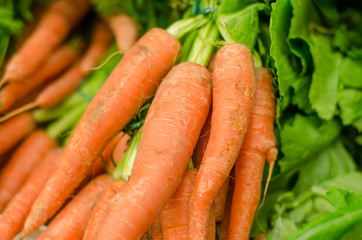 Close-up detail view of carrots on the market 