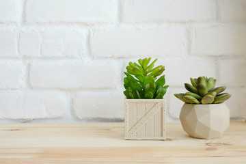 Plant pots on wood table over white wall background