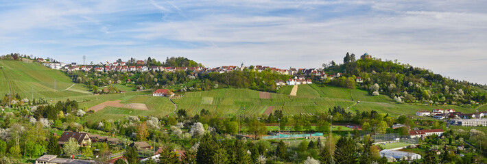 Panorama Stuttgart-Rotenberg mit Grabkapelle