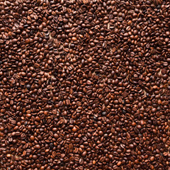 Obraz premium Coffee beans background