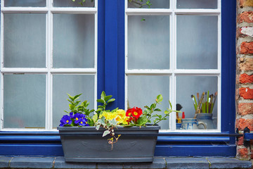 window with colorful flowers