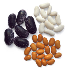 чёрные бобы, белая и золотистая фасоль на белом фоне