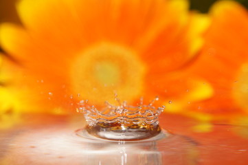 Wassertropfen fotografie