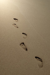 Walking footprints on beach sand