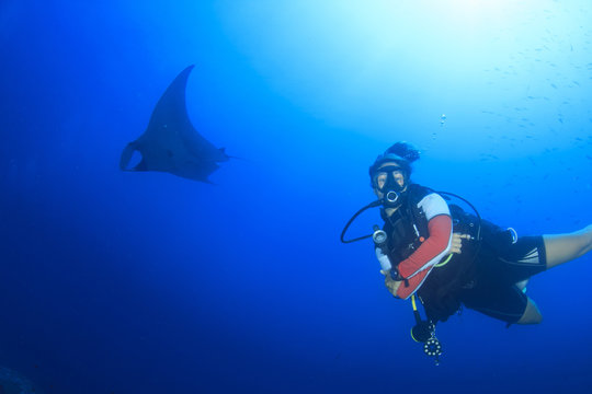 Young woman scuba dives with manta ray