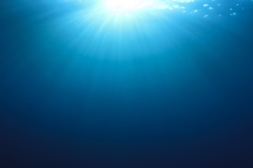 Obraz premium Underwater blue ocean sunlight background