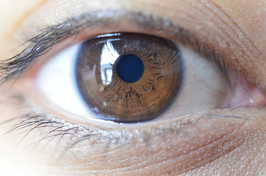 brown eye