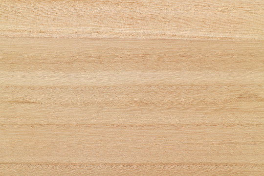 Fototapeta paulownia wood board texture background