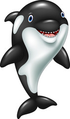 Fototapeta premium Cartoon funny killer whale standing