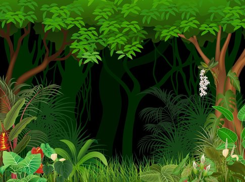 Illustration of forest background