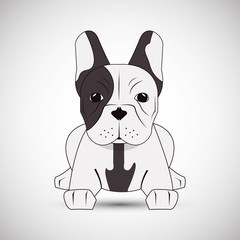  french bulldog design, pet and animal concept 