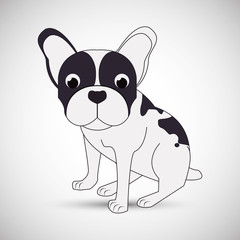  french bulldog design, pet and animal concept 