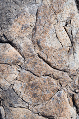 Stone texture. Portrait of a gray stone