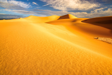 Fototapeta na wymiar Sand dunes at sunrise in the Desert