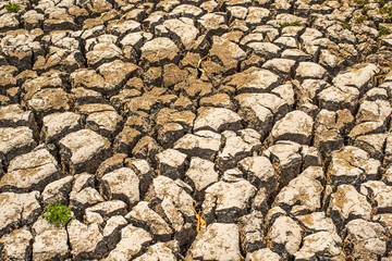 Soil water deficit