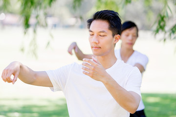 People practicing thai chi in park