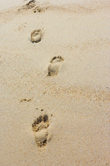 Foot prints on a sandy beach