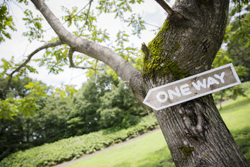 キャンプのある風景