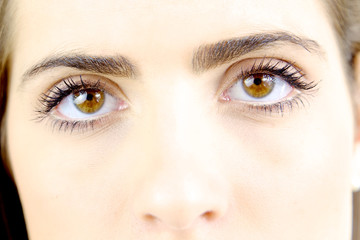 Portrait of beautiful brown eyes of gorgeous woman