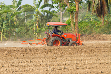 tractors plow the farm in local country