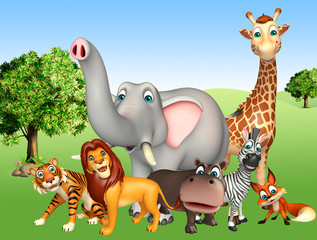 Fototapeta premium wild animal