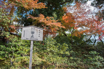 no smoking sign in Japanese word at the park, Japan