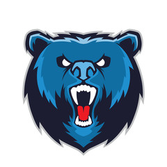 Bear head mascot
