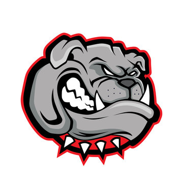 Bulldog head mascot