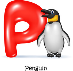 Illustration of P letter for Penguin