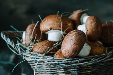 Brown mushrooms in a basket