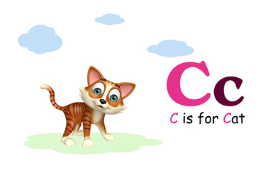 Cat domastic animal with alphabte
