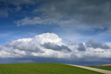 paysage de campagne au printemps