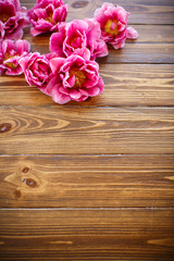 Bunch of beautiful tulips 