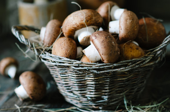 Brown mushrooms in a basket