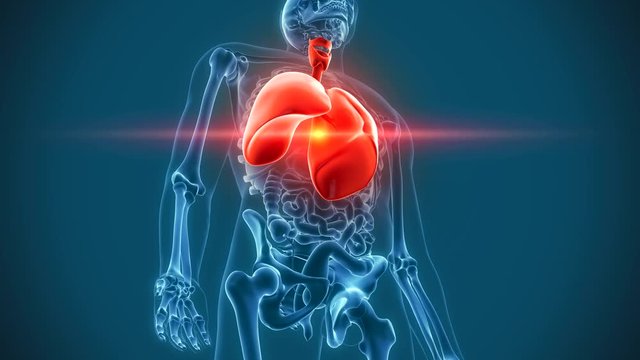 internal organs - lungs pain