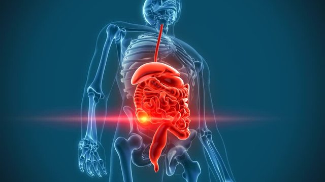 organs pain