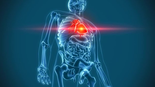 organs pain