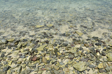 Stone on the beach in midday (Selective focus)
