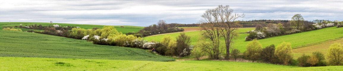 Panoramic shot of spring landscape with green fields