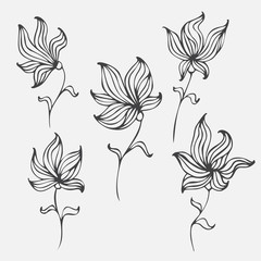 Colorful cute floral set with doodle flowers. Spring or summer design