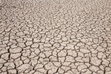 dry soil arid. drought land textured backgrounds