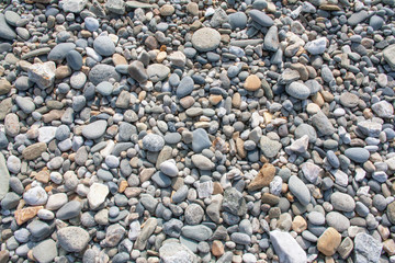 Galets sur la plage 