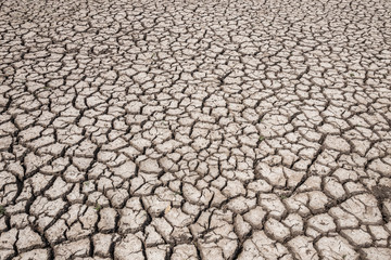 dry soil arid. drought land textured backgrounds