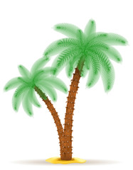 palm tree vector illustration
