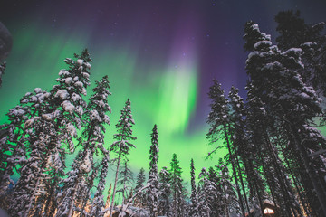 Beautiful picture of massive multicoloured green vibrant Aurora Borealis, Aurora Polaris, also know as Northern Lights in the night sky over winter Lapland landscape, Norway, Scandinavia © tsuguliev