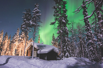 Beautiful picture of massive multicoloured green vibrant Aurora Borealis, Aurora Polaris, also know as Northern Lights in the night sky over winter Lapland landscape, Norway, Scandinavia © tsuguliev