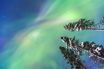 Beautiful picture of massive multicoloured green vibrant Aurora Borealis, Aurora Polaris, also know...
