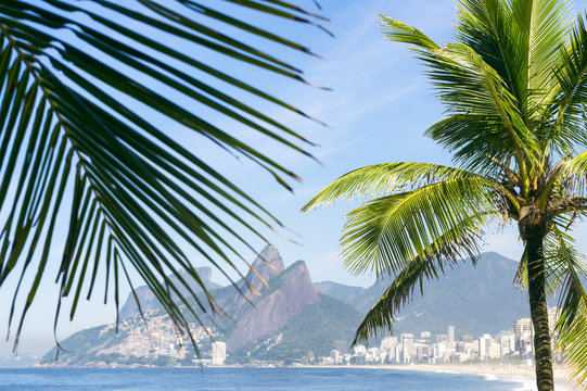 Palm fronds frame a scenic view of Ipanema Beach Rio de Janeiro Brazil from Arpoador 