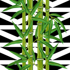 Fototapeta premium Seamless pattern with bamboo plants and leaves. Background made without clipping mask. Easy to use for backdrop, textile, wrapping paper